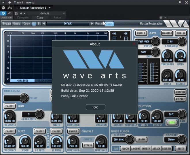 Wave Arts – Master Restoration Suite 6