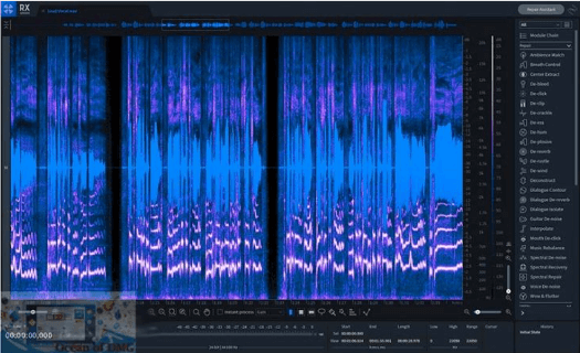 iZotope RX 9 Audio Editor Download