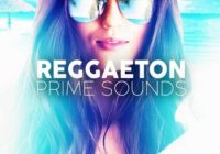 Function Loops – Reggaeton Prime Sounds (MIDI, WAV)