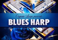 Organic Loops – Blues Harp (WAV, REX)