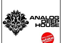Plughugger – Analog Deep House (DIVA)