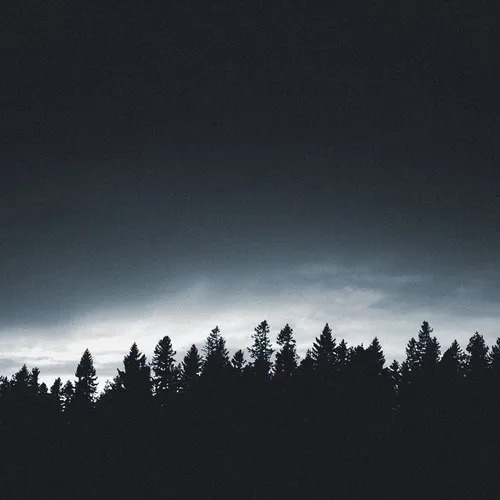 Tontario – Nature’s Essence (WAV)