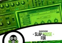 Vandalism – Shocking Slap House For Sylenth1 (SYNTH PRESET)