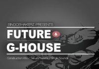 Bingoshakerz – Future And G-House (MIDI, WAV, SERUM)