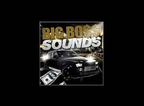 Motion Samples – Big Boss Sounds (WAV)