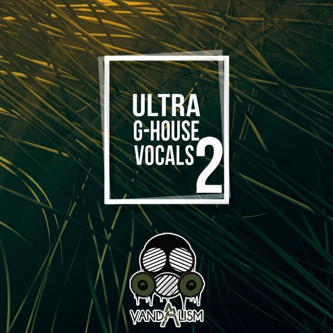 Vandalism – Ultra G-House Vocals 2 (WAV)