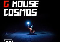 W. A. Production – G House Cosmos (MIDI, WAV, SERUM)